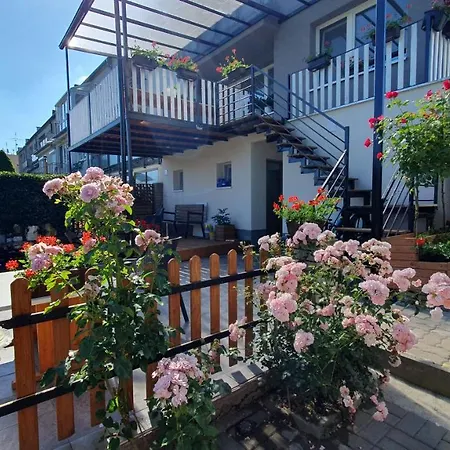 Gasthof David 56 4*